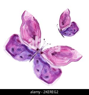 Acquerello delle farfalle viola. Struttura acquerello, illustrazione estiva Foto Stock