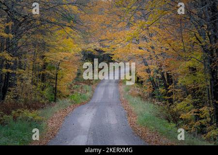 Le strade di servizio della foresta nella foresta nazionale Chequamegon-Nicolet nel Wisconsin settentrionale prendono vita con i colori alla fine di settembre all'inizio di ottobre. Foto Stock