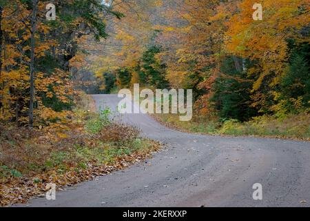 Le strade di servizio della foresta nella foresta nazionale Chequamegon-Nicolet nel Wisconsin settentrionale prendono vita con i colori alla fine di settembre all'inizio di ottobre. Foto Stock