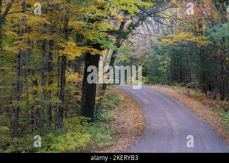 Le strade di servizio della foresta nella foresta nazionale Chequamegon-Nicolet nel Wisconsin settentrionale prendono vita con i colori alla fine di settembre all'inizio di ottobre. Foto Stock