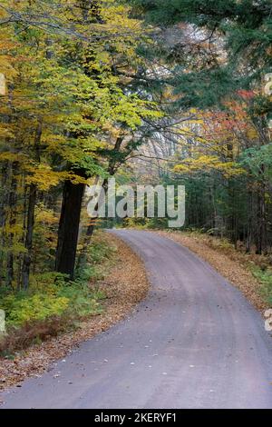 Le strade di servizio della foresta nella foresta nazionale Chequamegon-Nicolet nel Wisconsin settentrionale prendono vita con i colori alla fine di settembre all'inizio di ottobre. Foto Stock