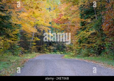 Le strade di servizio della foresta nella foresta nazionale Chequamegon-Nicolet nel Wisconsin settentrionale prendono vita con i colori alla fine di settembre all'inizio di ottobre. Foto Stock