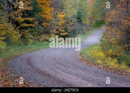 Le strade di servizio della foresta nella foresta nazionale Chequamegon-Nicolet nel Wisconsin settentrionale prendono vita con i colori alla fine di settembre all'inizio di ottobre. Foto Stock