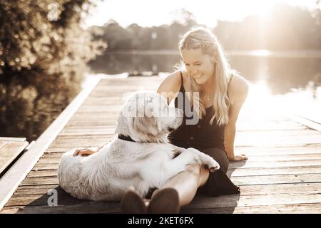 Maschio di Golden Retriever Foto Stock