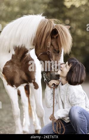 Cavallo islandese castrazione Foto Stock