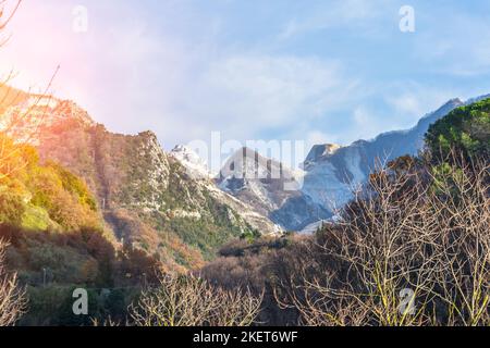 Vista sulle montagne e la foresta, in primo piano alberi senza foglie Foto Stock