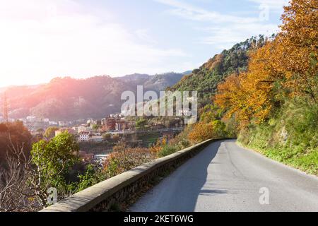 Si gira su una stretta strada asfaltata in montagna Foto Stock