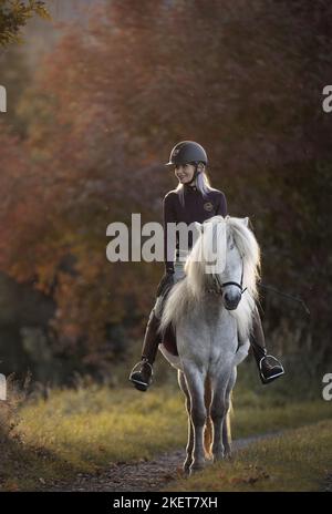 La donna corse di cavalli islandesi Foto Stock