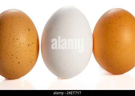 Un primo piano di un uovo bianco tra due uova brune Foto Stock