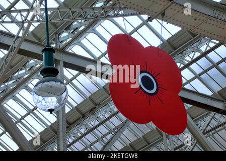 Papaveri rossi giganti sospesi dal tetto della stazione ferroviaria centrale per l'armistizio e ricordo Domenica Foto Stock