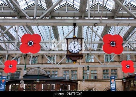 Papaveri rossi giganti sospesi dal tetto della stazione ferroviaria centrale per l'armistizio e ricordo Domenica Foto Stock