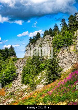 Seggiovia che conduce al rifugio del Monte la Nuda con vista sul villaggio turistico di Cerreto Laghi nell'Appennino tosco-emiliano. Foto Stock