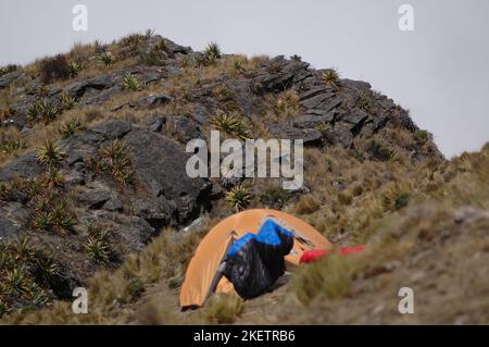 Tenda sulla collina Andes Mountain Trekking ripido Foto Stock