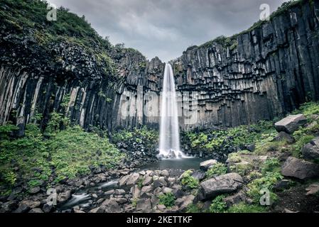 Scenografica cascata di Svartifoss in estate, Islanda Foto Stock