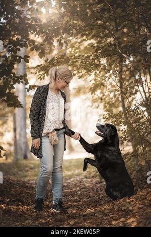 Donna con Labrador Retriever Foto Stock