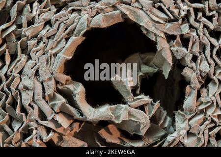 Buco nero nel cartone. Foto Stock