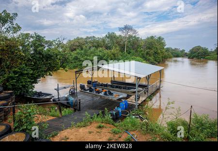 Barche ormeggiate al Jaguar Lodge sul fiume São Lourenco / Cuiaba fiume dal Parque Estadual Encontro das Águas, a nord Pantanal, Mato Grosso, Brasile Foto Stock
