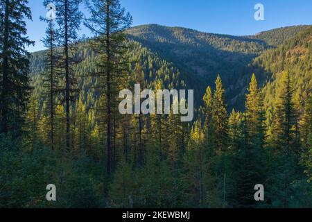 Luce sbiadita al tramonto sulla cima del Mullan Pass nell'Idaho settentrionale, vicino al punto panoramico sul confine Idaho-Montana. Foto Stock