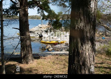 Un solo kayak in riva a un'isola nell'arcipelago di Stoccolma, Svezia. Kayak giallo ancorato su una spiaggia. Foto Stock