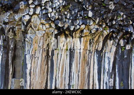 Colonne basaltiche esagonali / formazioni rocciose nei pressi di Svartifoss, cascata a Skaftafell nel Parco Nazionale Vatnajökull, Austurland, Islanda Foto Stock