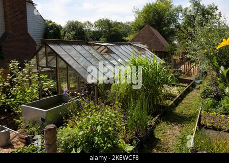 Serre vicino al vivaio a Great Dixter Gardens, Northiam, Rye, East Sussex. Foto Stock