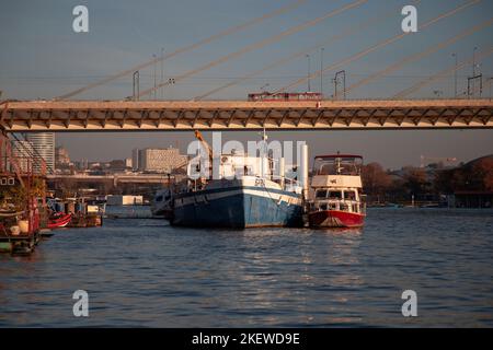 Navi ormeggiate sul fiume Sava a Belgrado, Serbia Foto Stock