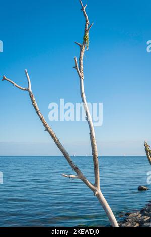 Estate a Parnu pietra jetty Estonia Foto Stock