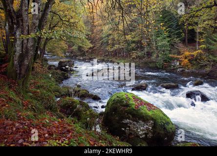 Fotografia del Fiume Llugwy (Afon Llugwy) nell ondata di Betws-y-Coed Snowdonia National Park Gwynedd Galles del Nord Regno Unito Europa Foto Stock