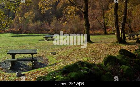 Area Picnic a Llwyn Tyn in autunno Gwydyr Forest Park Betwys Y Coed Snowdonia National Park Gwynedd North Wales UK, tarda primavera. Foto Stock