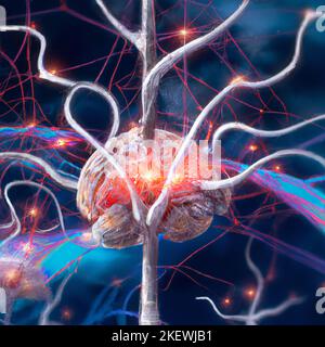 Vista microscopica delle sinapsi. Connessioni cerebrali. Neuroni e sinapsi. Comunicazione e stimolo cerebrale. Circuito di rete neurale degenerativo Foto Stock