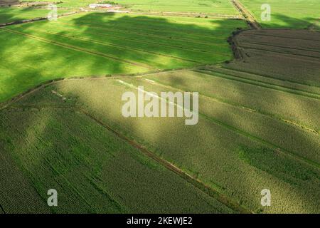 Verde campo agricolo con nuvole ombre e punti di luce aerea angolo di vista. Paesaggio panoramico aereo Foto Stock