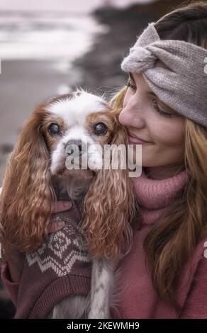 Maschio inglese Cocker Spaniel Foto Stock