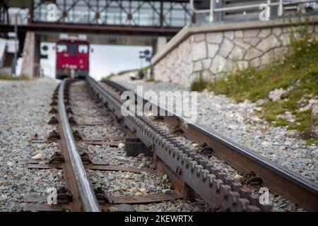 Schafbergbahn Cog Railway che parte da St. Wolfgang su Schafberg, Austria. Viaggia verso la cima delle Alpi attraverso campi lussureggianti e foreste verdi. Concentrazione Foto Stock