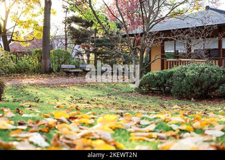 Vista sul parco autunnale con panchine, alberi e edificio Foto Stock