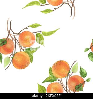 Acquerello illustrazioni botaniche. Modello senza cuciture con ramificazione in persimmon. Acquerello disegnato a mano. Frutti di Natale Foto Stock