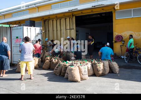 Caricamento di copra, Polinesia francese Foto Stock