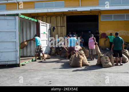 Caricamento di copra, Polinesia francese Foto Stock