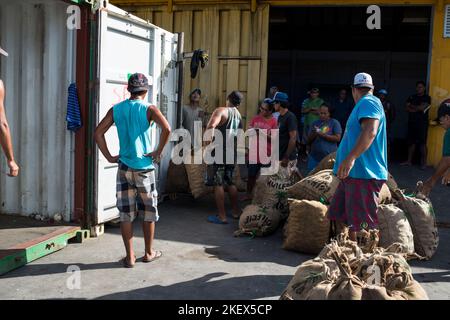 Caricamento di copra, Polinesia francese Foto Stock