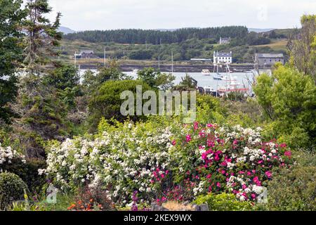 Baltimore Harbour Irlanda in estate Foto Stock