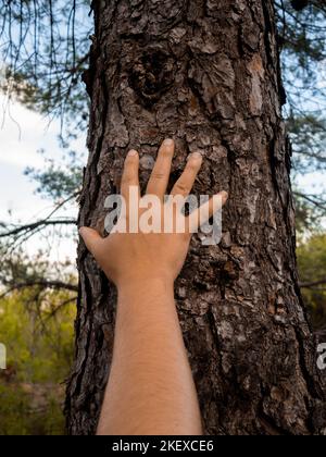 Particolare di una mano umana che carezza il tronco di un albero. Tutela dell'ambiente Foto Stock