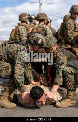 I Marines degli Stati Uniti assegnati alla Stazione aerea del corpo Marino Iwakuni Provost il Team di reazione speciale dell'Ufficio Marshal detengono un rioter durante una sommossa simulata come parte dell'esercizio attivo Shield 22 presso la Stazione aerea del corpo Marino Iwakuni, Giappone, 14 novembre 2022. Exercise Active Shield è un esercizio bilaterale condotto annualmente con la Japan Self-Defense Force per preparare meglio le procedure di risposta agli incidenti della stazione aerea durante le operazioni di difesa di base. (STATI UNITI Corpo marino foto di CPL. Mitchell Austin) Foto Stock