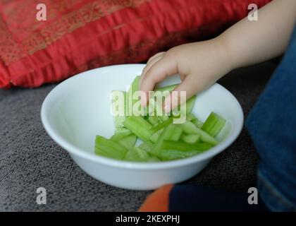 Toddler che raggiunge in un piatto per prendere un pezzo di cetriolo tagliato su spuntino mentre sul divano Foto Stock