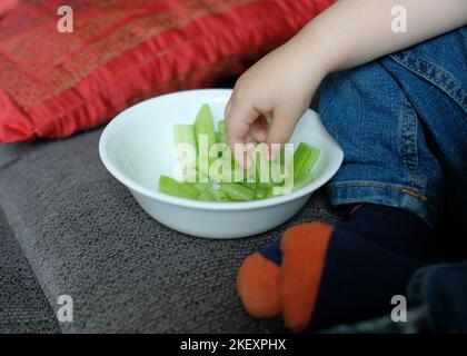 Toddler che raggiunge in un piatto per prendere un pezzo di cetriolo tagliato su spuntino mentre sul divano Foto Stock