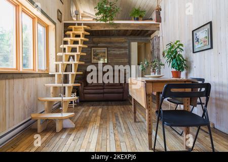 Tavolo da pranzo in legno con sedie pieghevoli e scale retrattili in legno di pino che conducono alla camera da letto soppalcata e all'area soggiorno con divano in pelle marrone. Foto Stock