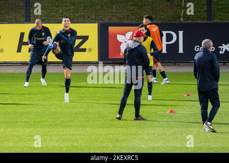 Oeiras, Portogallo. 14th Nov 2022. I giocatori del Portogallo hanno visto in azione durante la sessione di allenamento al campo di allenamento Cidade do Futebol. La squadra di calcio portoghese si allena per la prima volta prima di partecipare alla Coppa del mondo FIFA 2022, che inizierà il 20th novembre. Credit: SOPA Images Limited/Alamy Live News Foto Stock