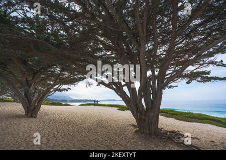 Monterey County, California, USA - 31 ottobre 2022. Spiaggia di Carmel, lunga e ampia spiaggia di sabbia bianca. Carmel Beach è uno dei luoghi più rappresentativi di CA Foto Stock