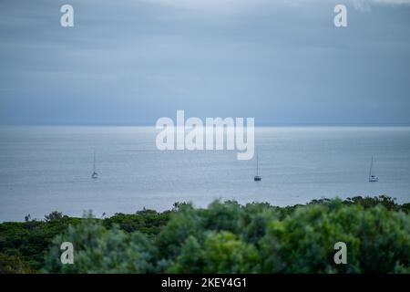 yatching in queenland australia. su una costa tropicale isola in primavera Foto Stock