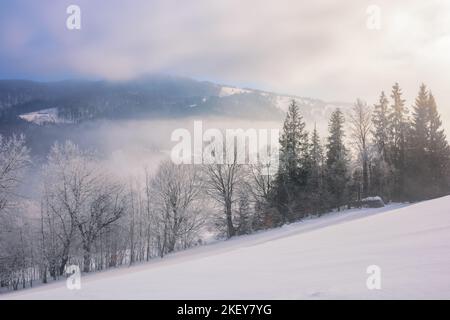 splendido paesaggio invernale in montagna. alberi in brina sul ripido pendio innevato. nebbia nella valle e nuvole sopra la cresta distante a su Foto Stock