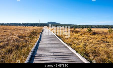 Sentiero in legno in Bozi Dar torbiera riserva naturale nella soleggiata giornata autunnale. Montagne del minerale, ceco: Krusne Hory, Repubblica ceca Foto Stock