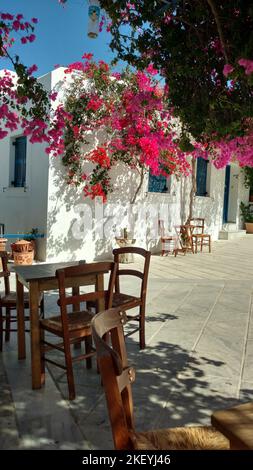 Tavola del caffè Paros Grecia isola mediterranea egeo Foto Stock